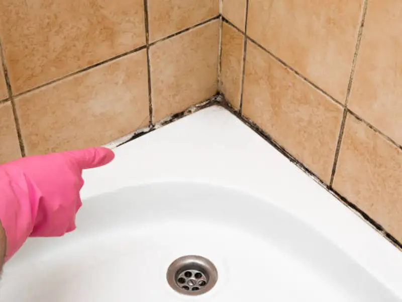 Baia, un adevărat paradis pentru mucegai: Cum o protejăm?