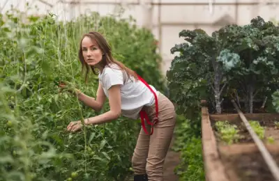 Cum să îți pregătești grădina pentru iarnă: lucrările esențiale de toamnă