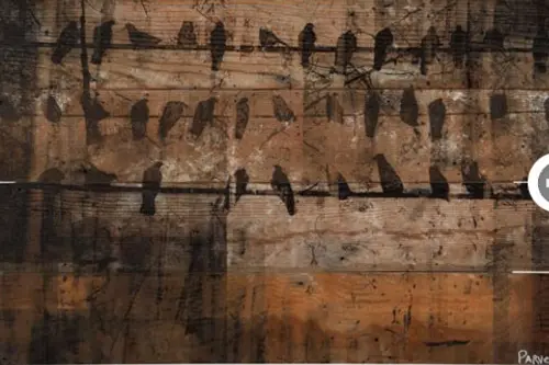 Case eco pentru un stil de viata mai verde, mai natural