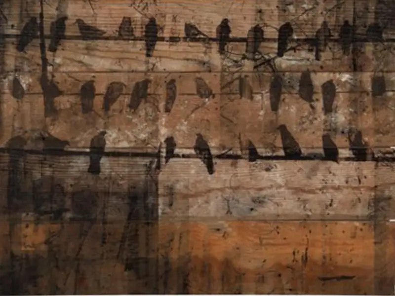 Case eco pentru un stil de viata mai verde, mai natural