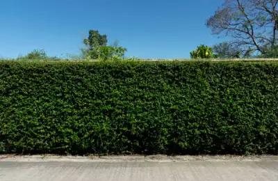 4 Efficient, but Less Common Fence Types for Your Yard