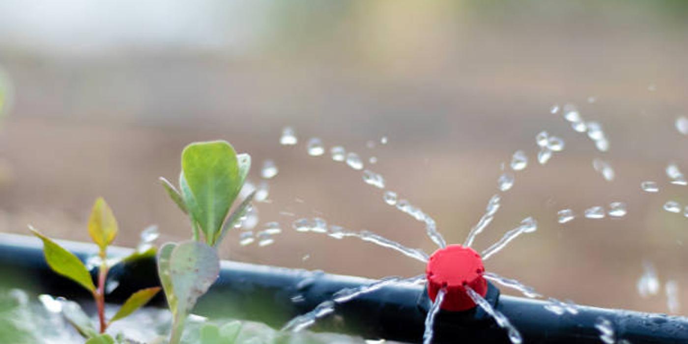 Top 5 idei inovatoare pentru stropirea grădinii