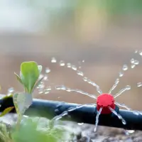 Top 5 idei inovatoare pentru stropirea grădinii