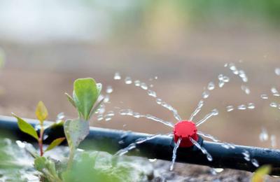 Top 5 idei inovatoare pentru stropirea grădinii