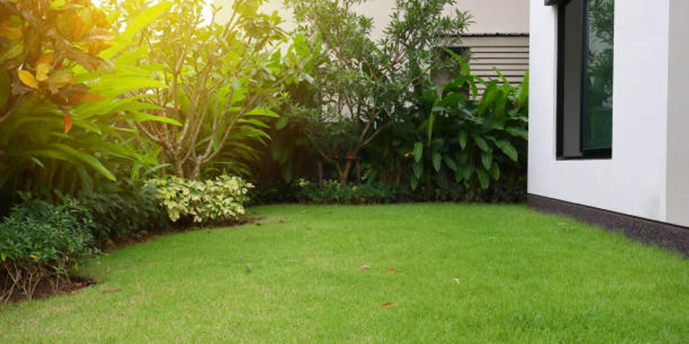 Stiluri populare de amenajare a grădinii în 2024