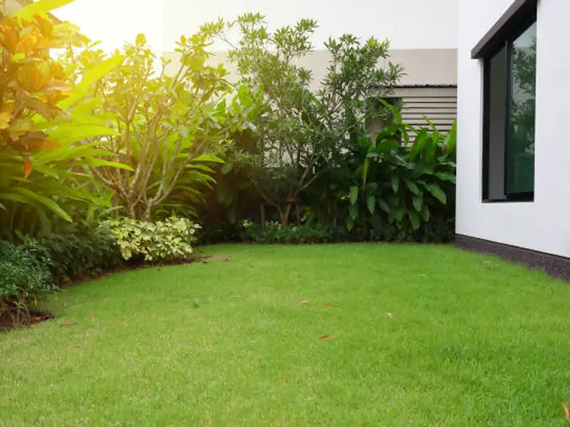 Stiluri populare de amenajare a grădinii în 2024