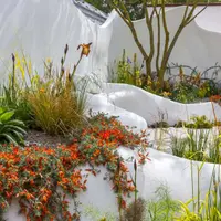 Top 26 gradini Tendintele anului 2015 in amenajari exterioare