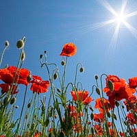 Prognoza meteo, 3 iunie. Vreme de plajă, dar și surprize meteo