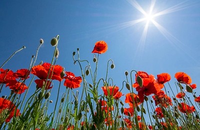 Prognoza meteo, 3 iunie. Vreme de plajă, dar și surprize meteo