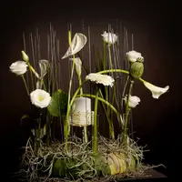 Flower Design Contest organizat de Atelierele ILBAH