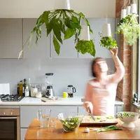 Sky Planter Noul concept de ghiveci cu verdele-n jos