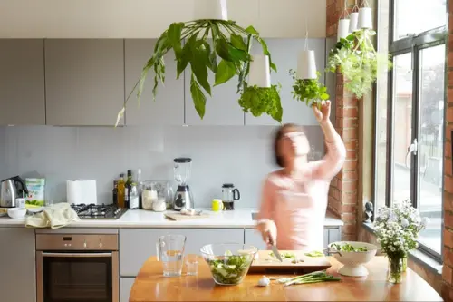 Sky Planter Noul concept de ghiveci cu verdele-n jos