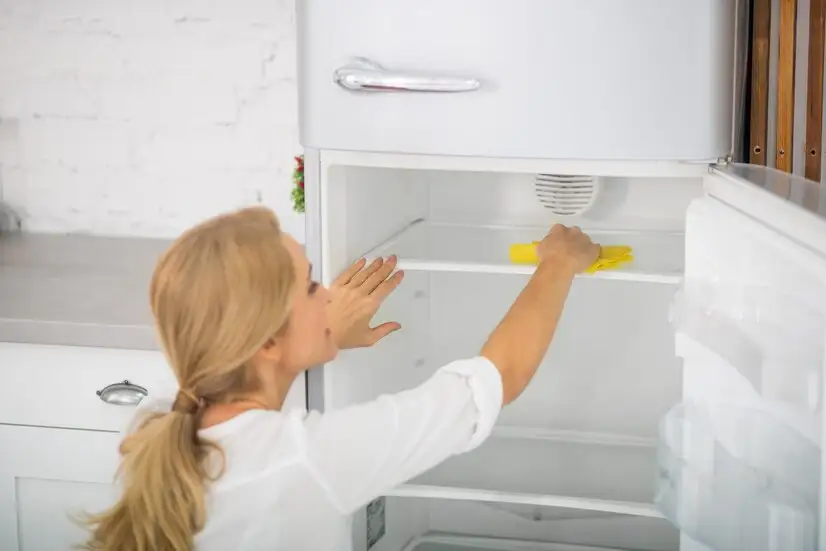 Top 6 Natural and Effective Solutions for Cleaning Your Refrigerator