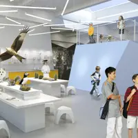 Exemplu de scoala la care viseaza fiecare copil