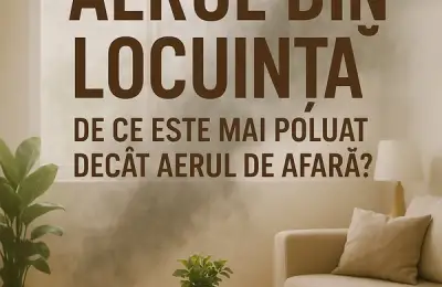 Aerul din locuință. De ce este mai poluat decât cel de afară?