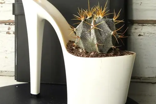 Ghivece vesele pentru pervazul tau