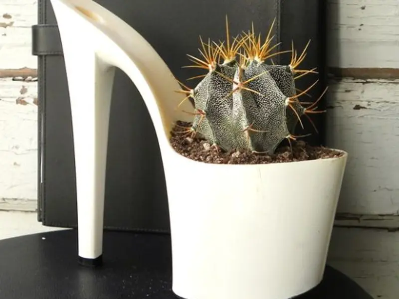 Ghivece vesele pentru pervazul tau