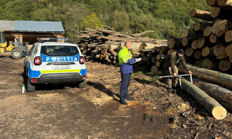 O firmă din Cluj, controlată de polițiștii de la Biroului pentru Protecția Fondului Forestier