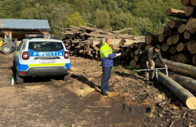 O firmă din Cluj, controlată de polițiștii de la Biroului pentru Protecția Fondului Forestier