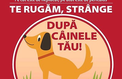 Campanie de informare în Sectorul 3: „Strânge după câinele tău”