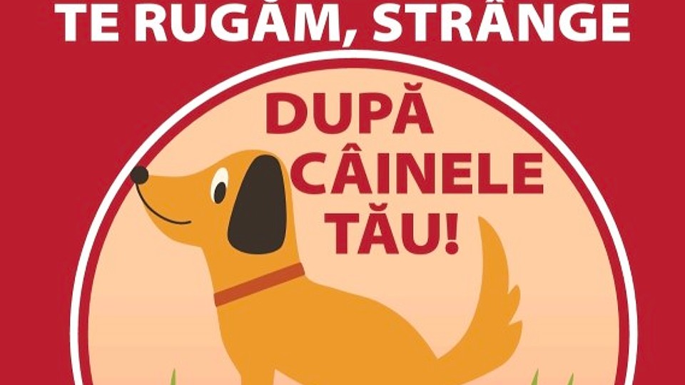 Campanie de informare în Sectorul 3: „Strânge după câinele tău”