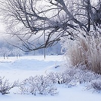 Prognoza meteo, 11 ianuarie. Încă un episod de ger în România. Temperaturi de până la -15 grade în unele județe