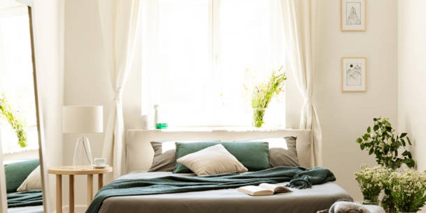 Inul în amenajarea eco-friendly a casei: rolul său și cum să-l folosești inteligent