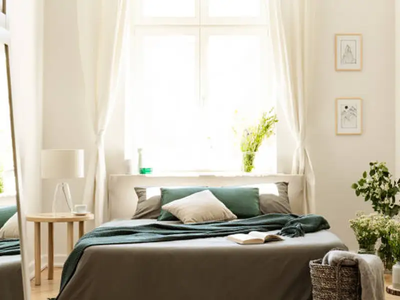 Inul în amenajarea eco-friendly a casei: rolul său și cum să-l folosești inteligent