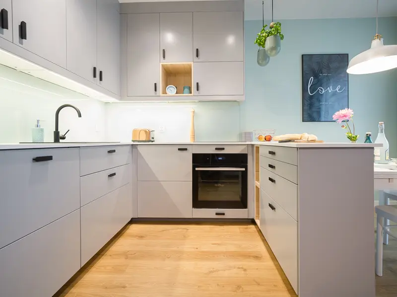 Descopera gatitul de calitate si economiile de timp si energie: cuptorul inteligent si plita pe gaz