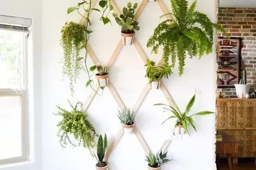 Cum sa iti creezi propria oaza verticala de verdeata in locuinta ta