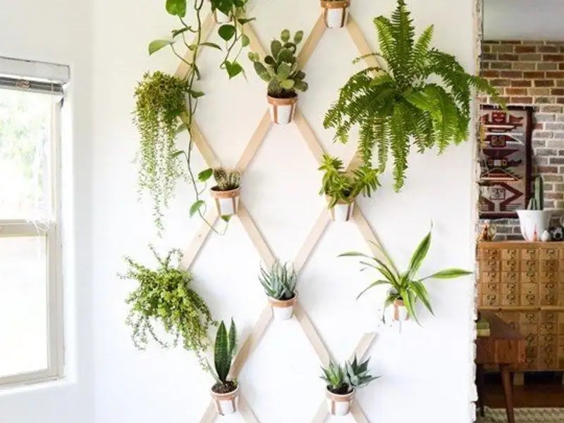 Cum sa iti creezi propria oaza verticala de verdeata in locuinta ta