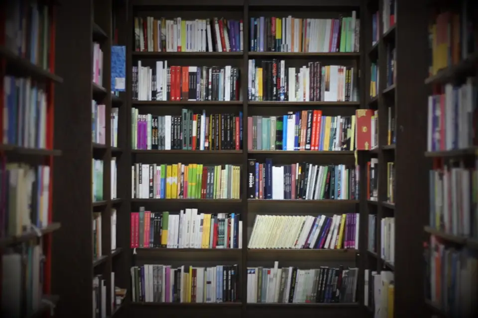 How to Organize Your Library in a Few Simple Steps