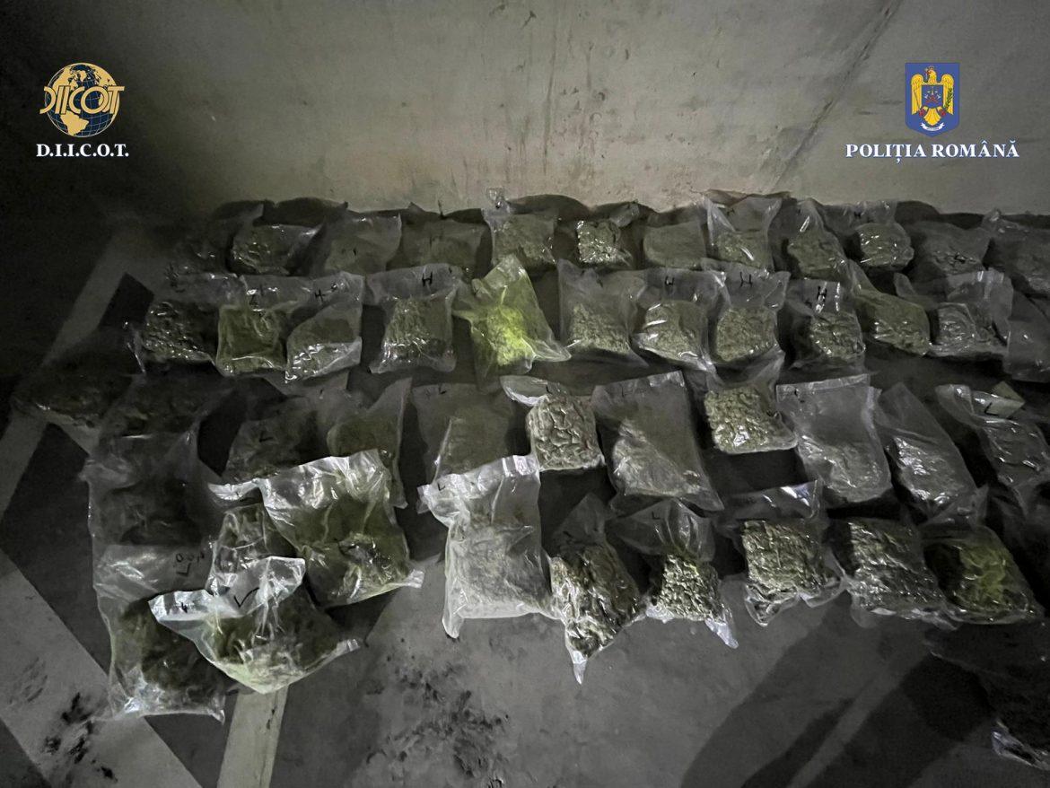 Rețea de traficanți de droguri a fost destructurată de polițiștii clujeni