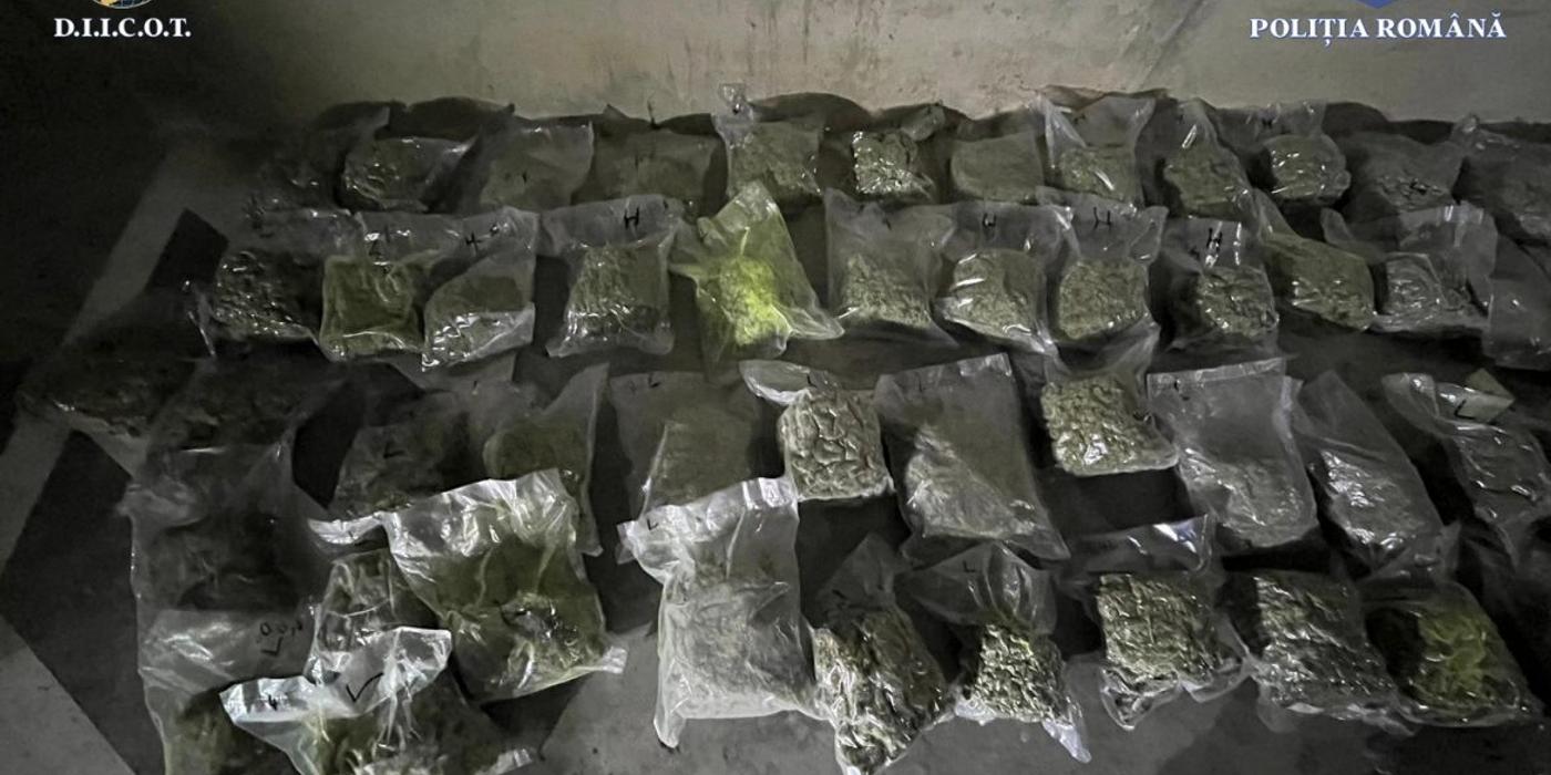 Rețea de traficanți de droguri a fost destructurată de polițiștii clujeni