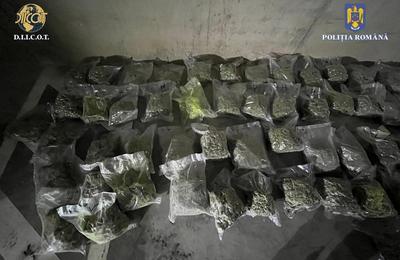 Rețea de traficanți de droguri a fost destructurată de polițiștii clujeni