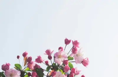 Cum să te pregătești pentru sezonul mărțișoarelor?