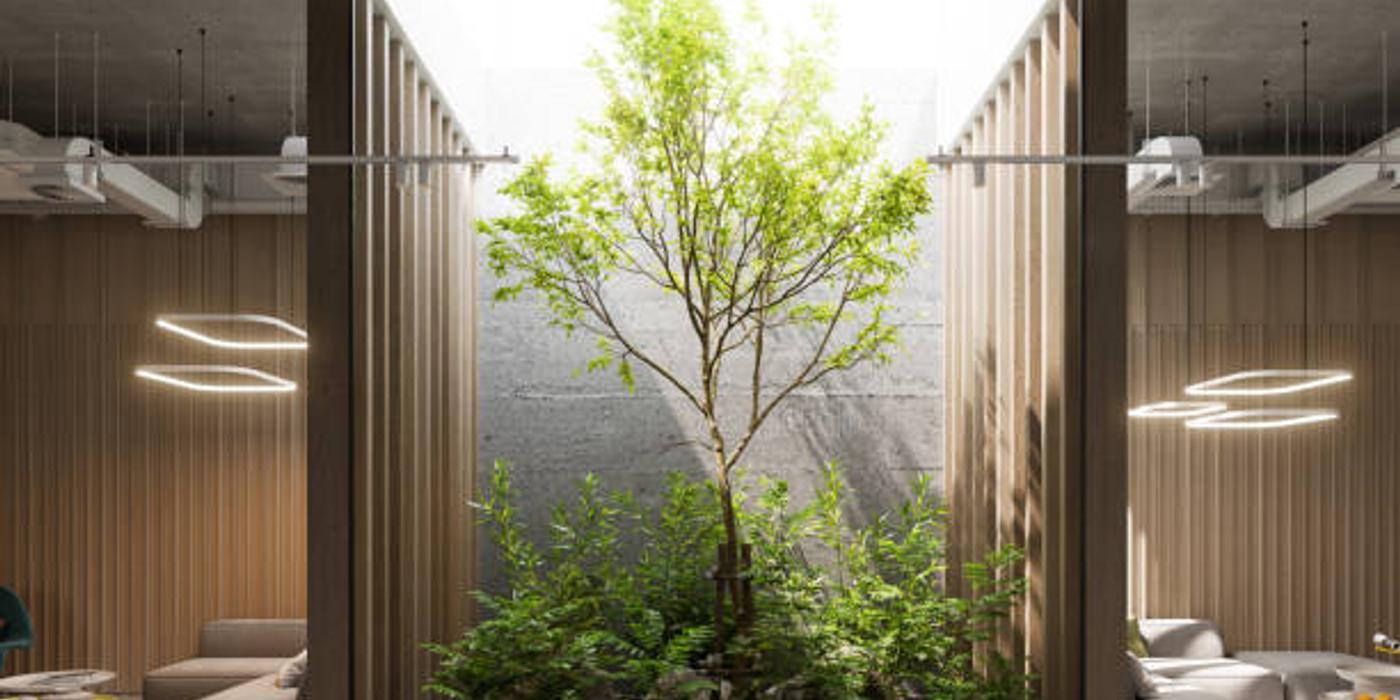 Tendințe în designul interior ecologic: O casă mai verde, o viață mai bună