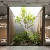 Sustenabilitate și Eco-design: Un ghid complet pentru un interior verde