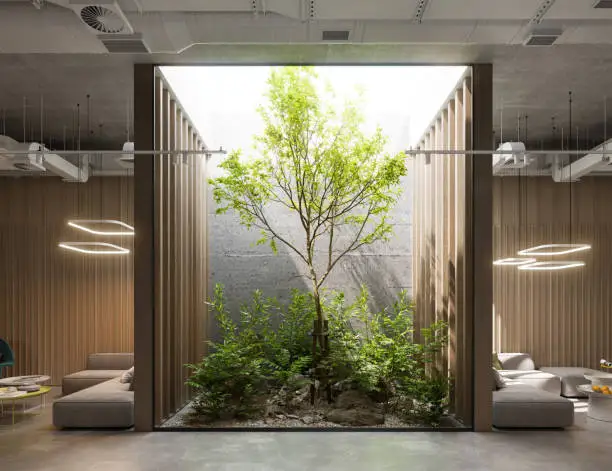 Sustenabilitate și Eco-design: Un ghid complet pentru un interior verde