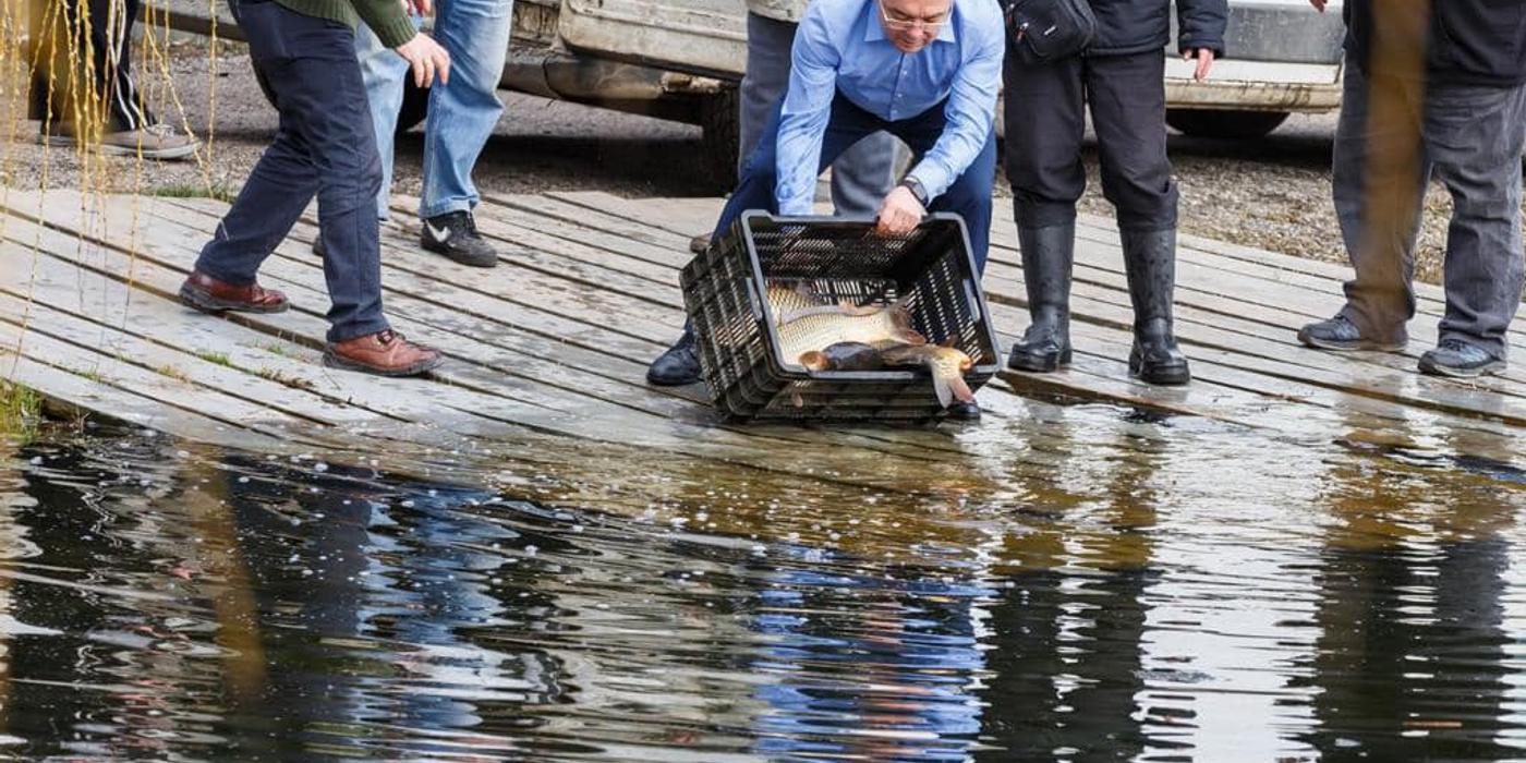 Emil Boc a participat la popularea lacurilor din Gheorgheni cu pește