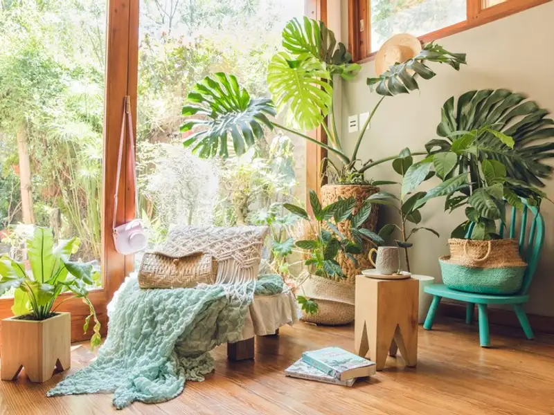 Cum să amenajezi spații verzi în casă pentru a simți spiritul naturii în interior