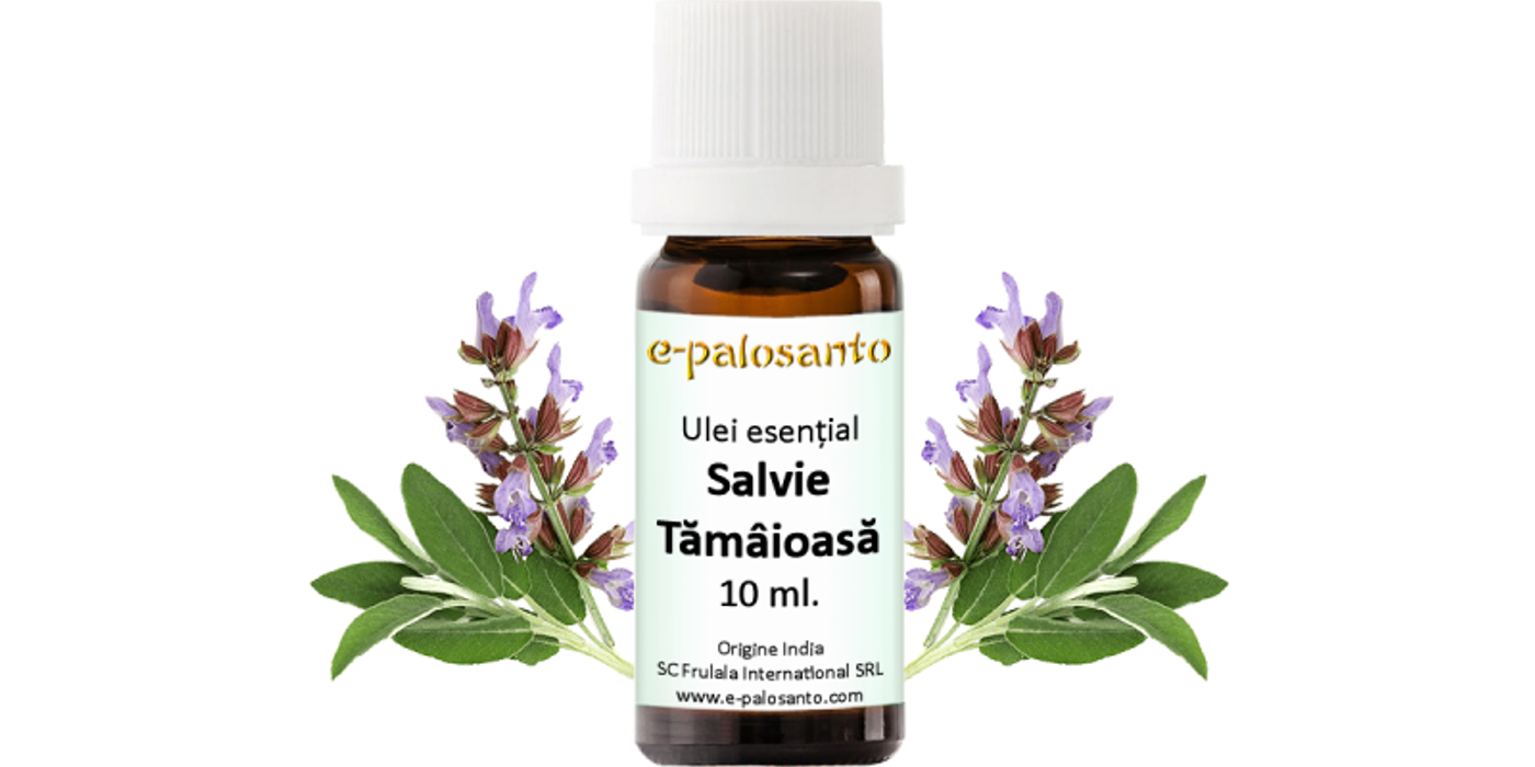 Foloseste salvia in locuinta ta pentru a aduce energia pozitiva