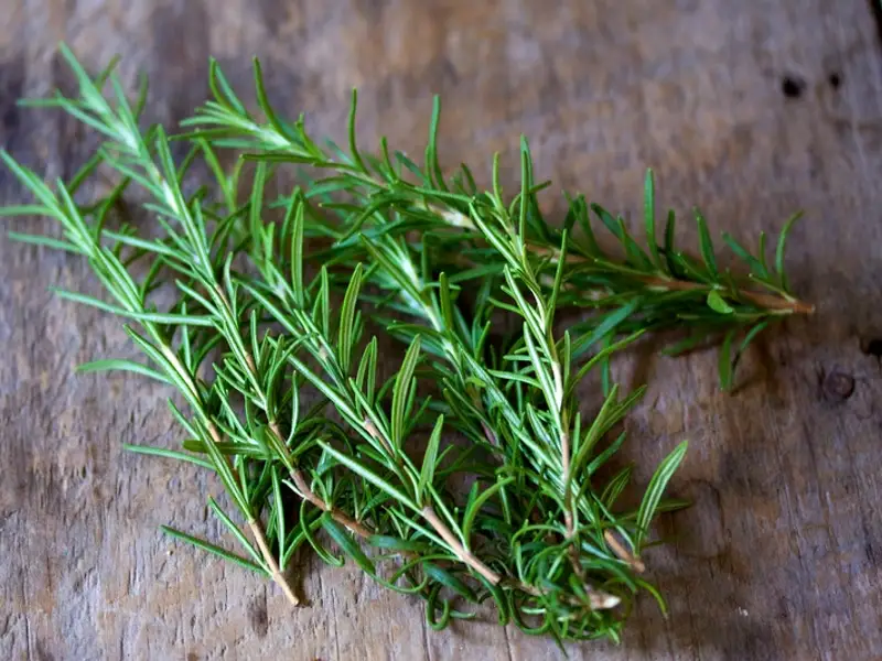 Rozmarinul o planta aromata pentru delicii culinare