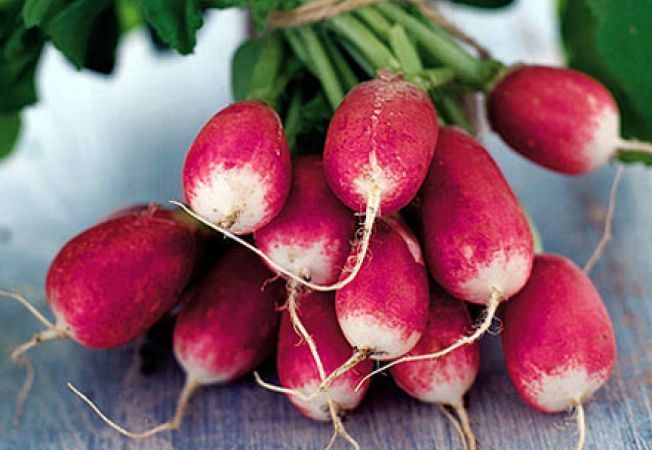 Cum se planteaza si cum se cresc ridichile?