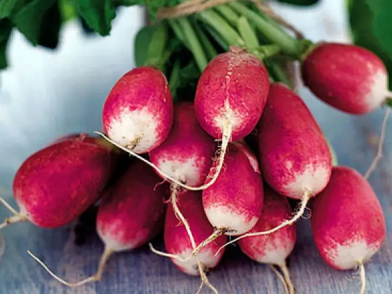 Cum se planteaza si cum se cresc ridichile?