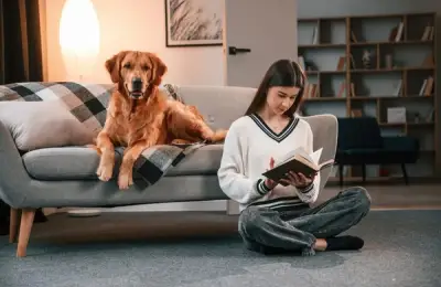 9 Pets Suitable for Any Family, with Their Advantages and Disadvantages