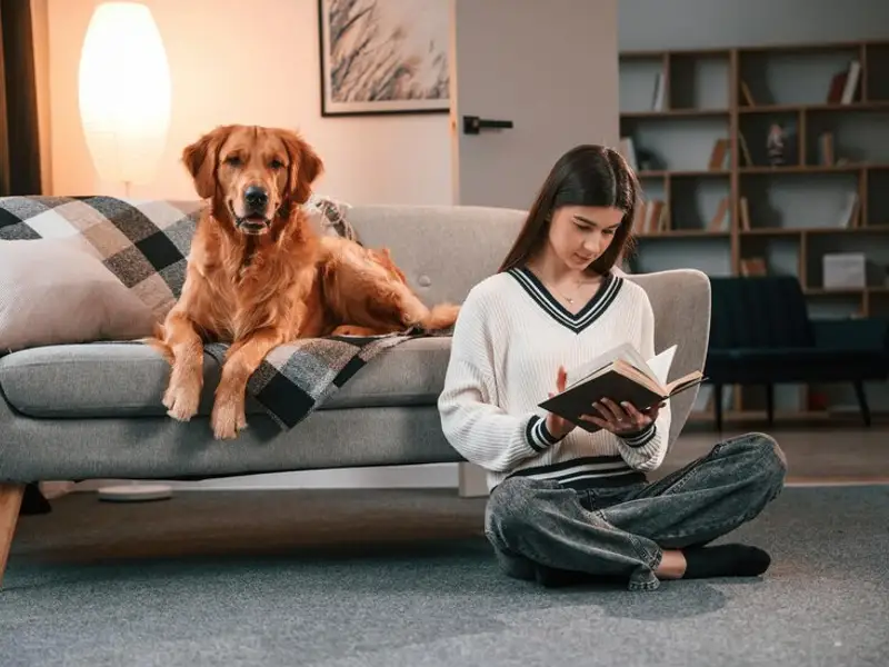 9 animăluțe potrivite pentru orice familie, cu avantajele și dezavantajele lor