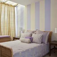 Cum sa introduci dungile in decor?