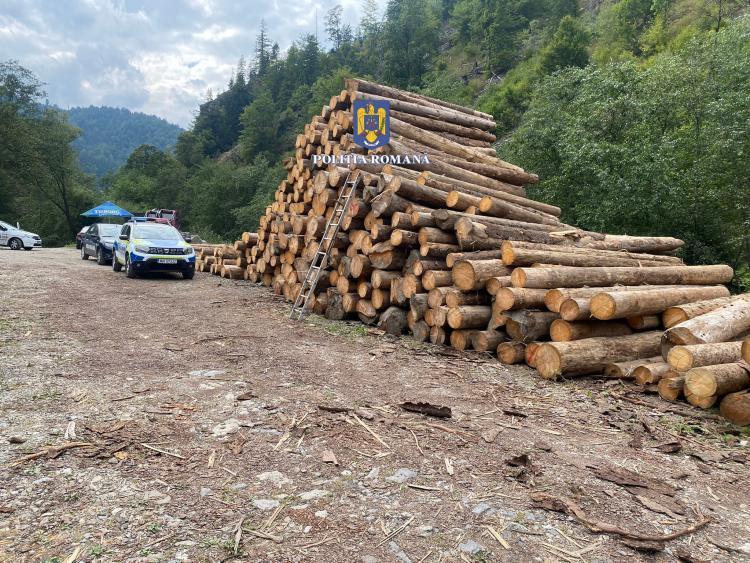Pădurar din Gherla, arestat pentru 30 de zile, pentru emiterea în fals a unui aviz de însoțire a lemnelor