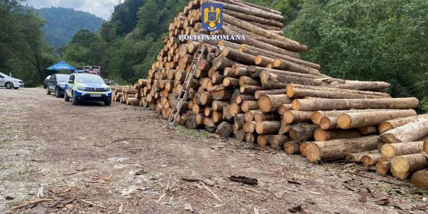 Pădurar din Gherla, arestat pentru 30 de zile, pentru emiterea în fals a unui aviz de însoțire a lemnelor